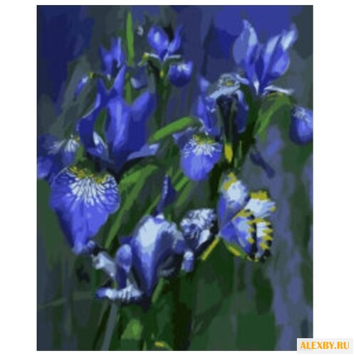 Цветной Картина по номерам