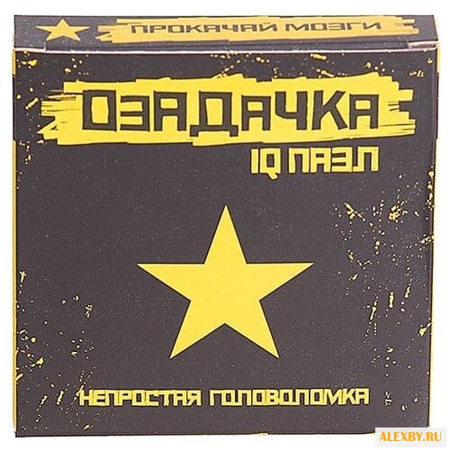 Головоломка Озадачка IQ ПАЗЛ