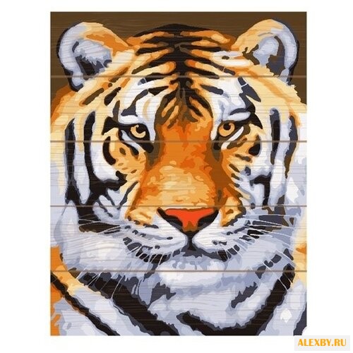 Molly Картина по номерам