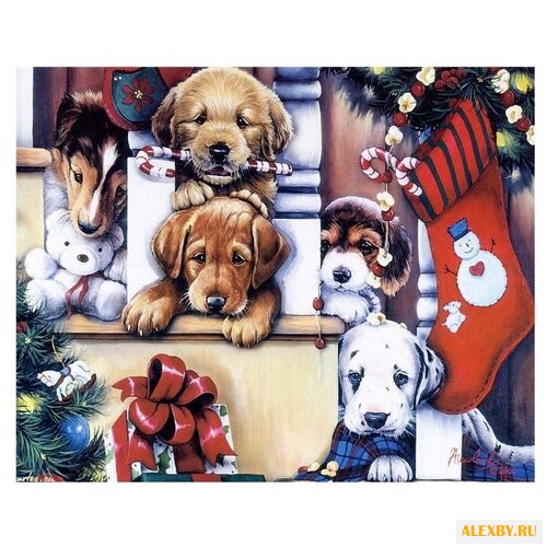 Color Kit Картина по номерам С