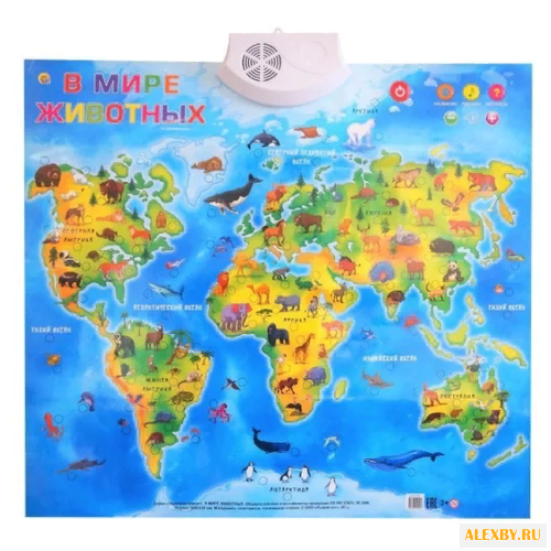 Электронный плакат Рыжий кот В