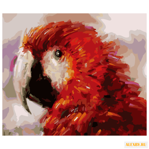 Цветной Картина по номерам Ара