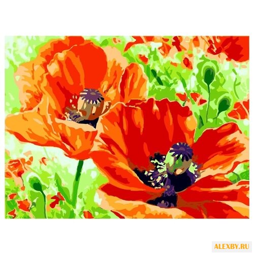 Color Kit Картина по номерам