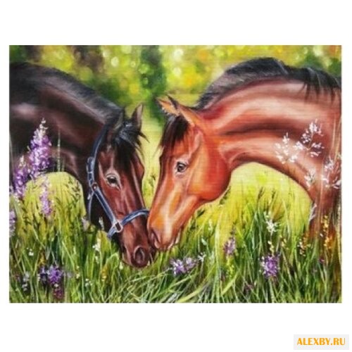 Рыжий кот Картина по номерам