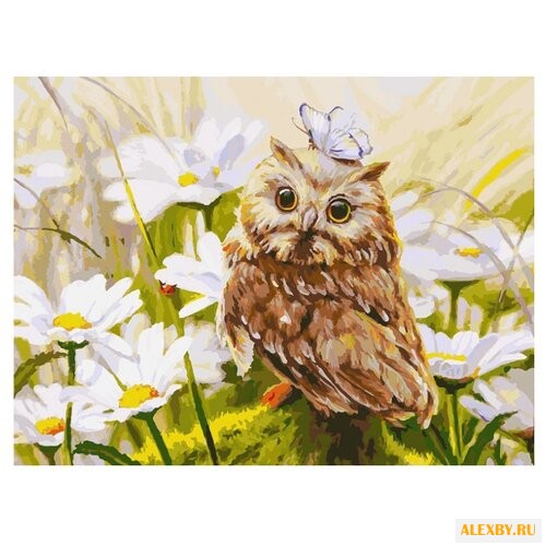 Белоснежка Картина по номерам