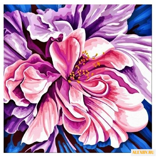 Hobbart Картина по номерам