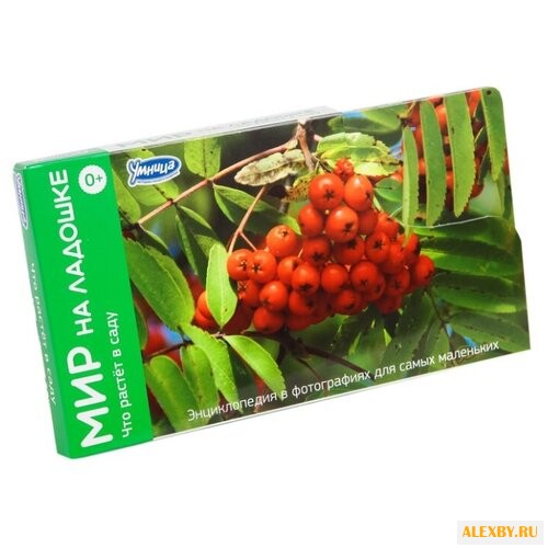 Набор карточек Умница Мир на