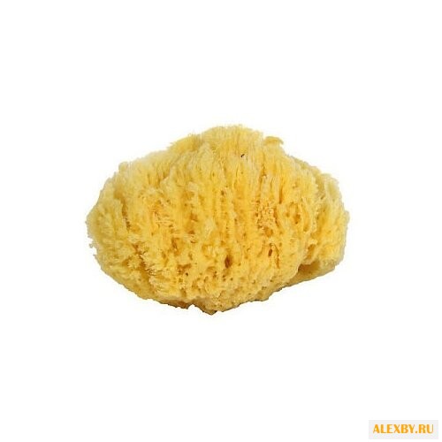 Губка «7 морей» натуральная