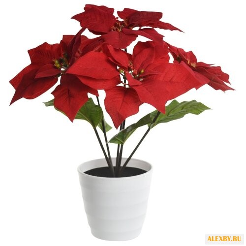 Настольная лампа Globo Lighting