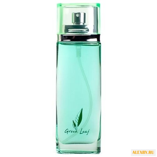Dilis Parfum Green Leaf
