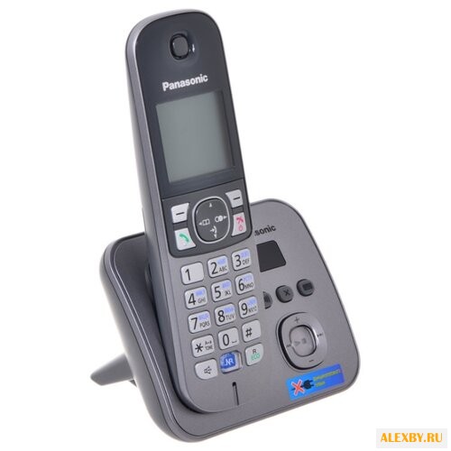 Радиотелефон Panasonic KX-TG6821