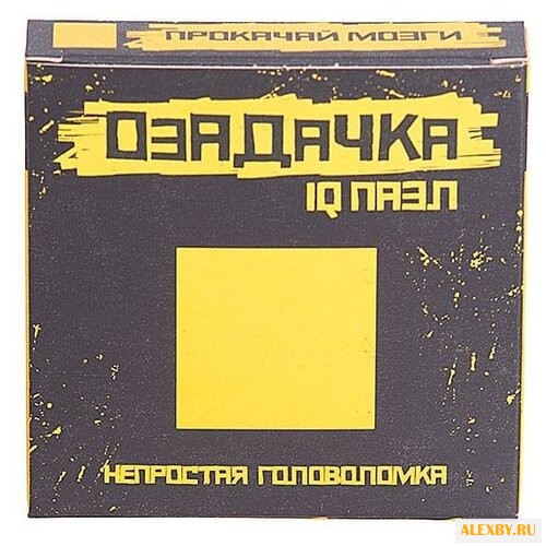 Головоломка Озадачка IQ ПАЗЛ