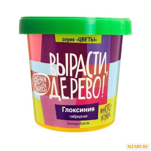 Набор для выращивания Вырасти