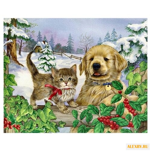 Paintboy Картина по номерам