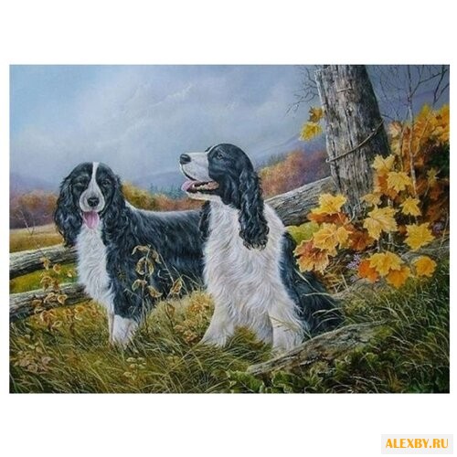 Color Kit Картина по номерам