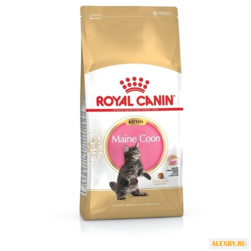Корм для кошек Royal Canin