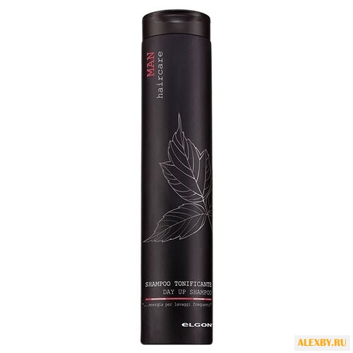 Elgon шампунь Man Day Up