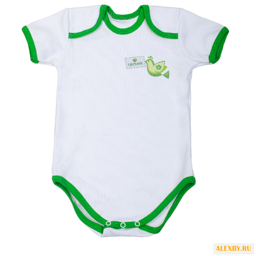 Боди «Птички»