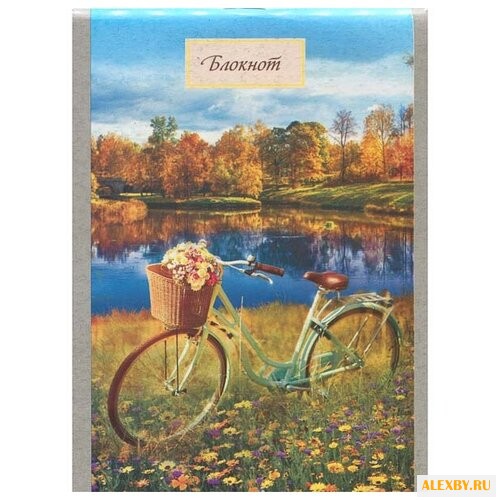 Блокнот КТС-ПРО Прогулка А6 32