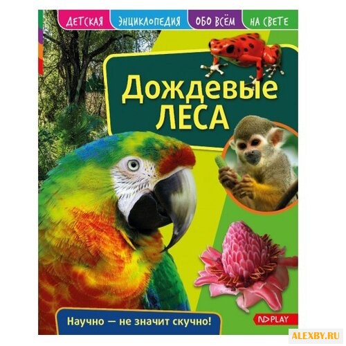 Детская энциклопедия. Дождевые