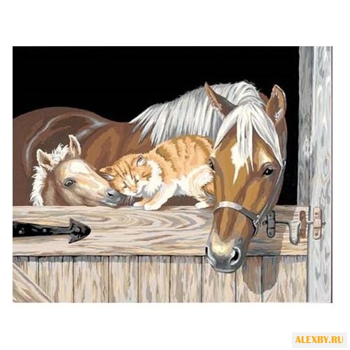 Dimensions Картина по номерам