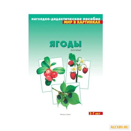 Набор карточек Мозаика-Синтез