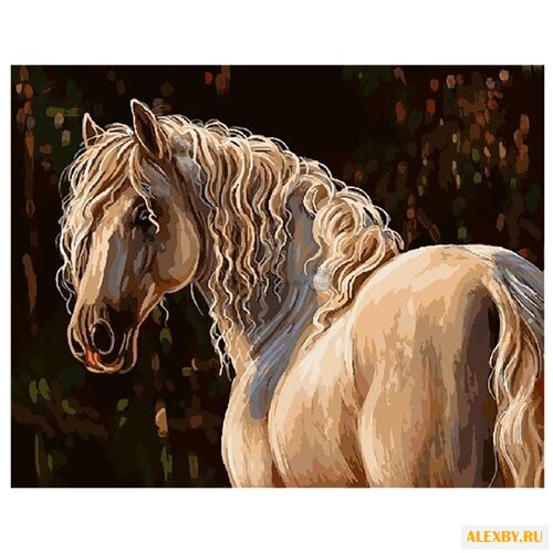 Paintboy Картина по номерам