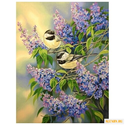 Dimensions Картина по номерам