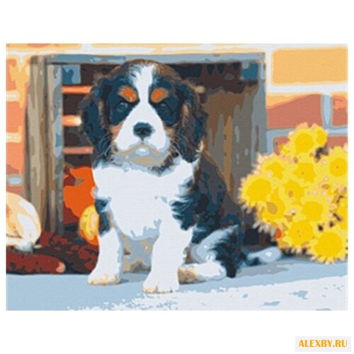 Рыжий кот Картина по номерам