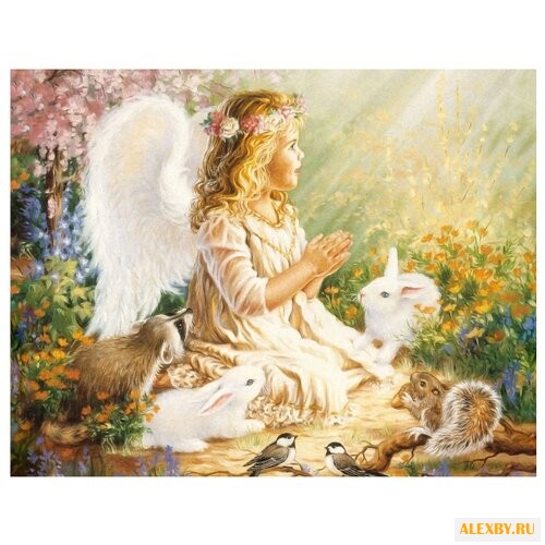 Рыжий кот Картина по номерам