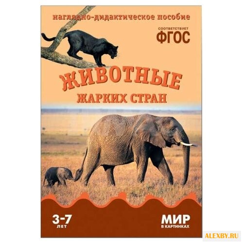 Набор карточек Мозаика-Синтез