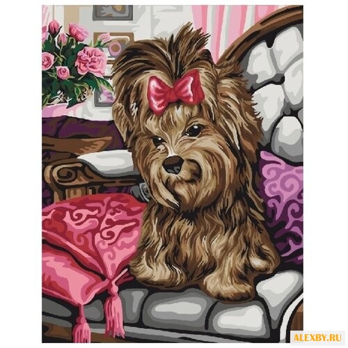 Color Kit Картина по номерам В