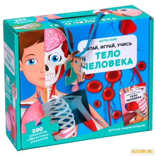 Гауле М. Тело человека