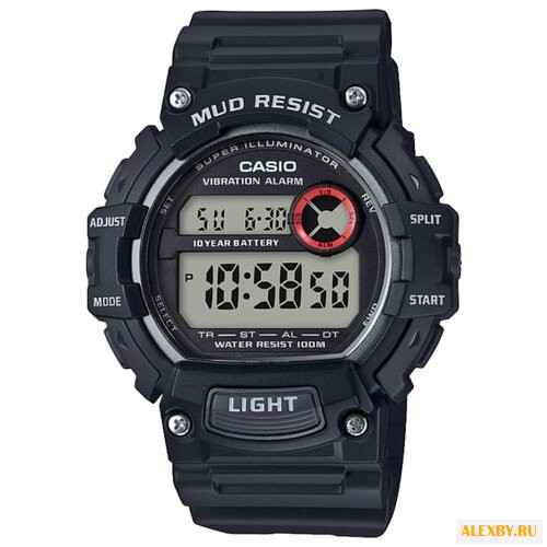 Наручные часы CASIO TRT-110H-1A