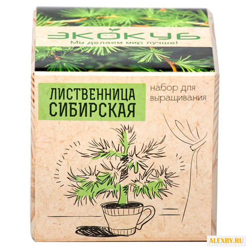 Набор для выращивания Эйфорд