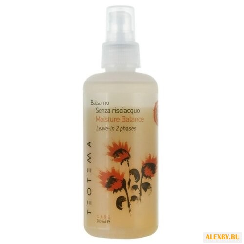 Teotema Moisture Balance