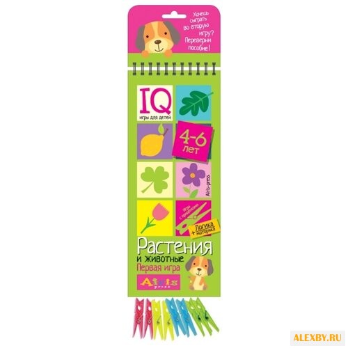 Развивающая игра Айрис-Пресс