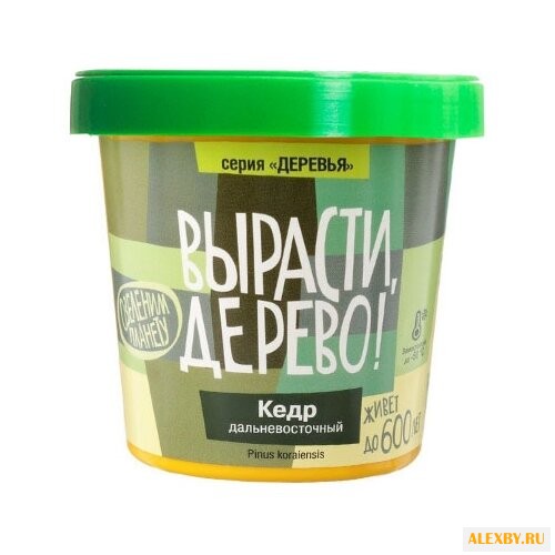 Набор для выращивания Вырасти