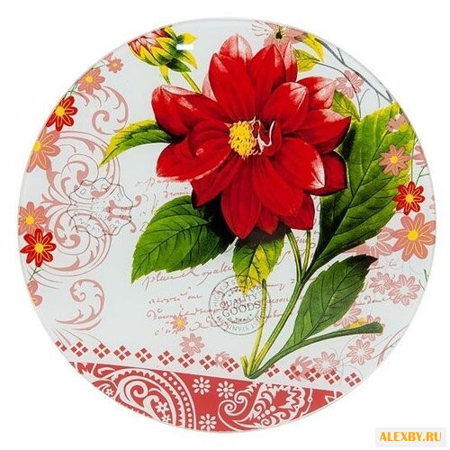 Best Home Kitchen Блюдо