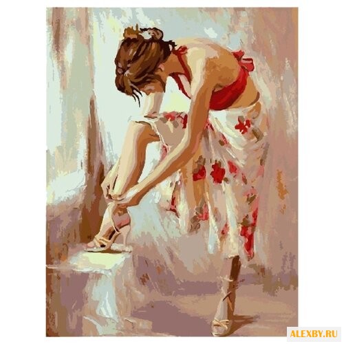 Paintboy Картина по номерам