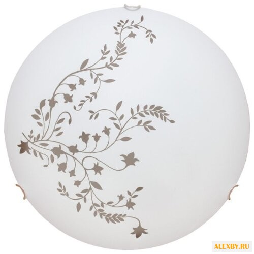 Светильник Arte Lamp Ornament