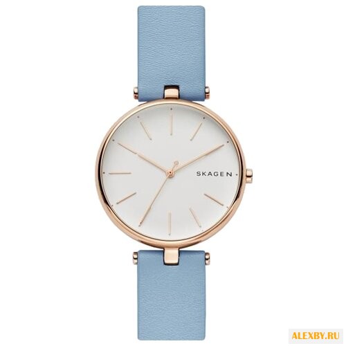 Наручные часы SKAGEN SKW2711