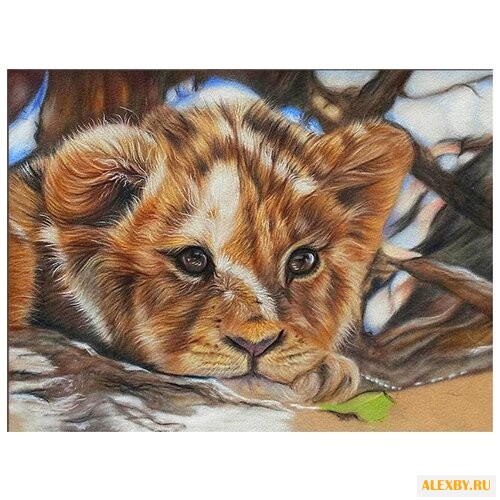 Алмазная живопись Набор