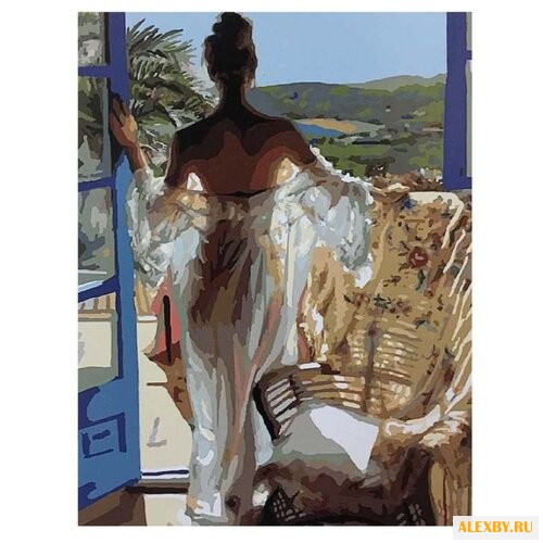 Paintboy Картина по номерам