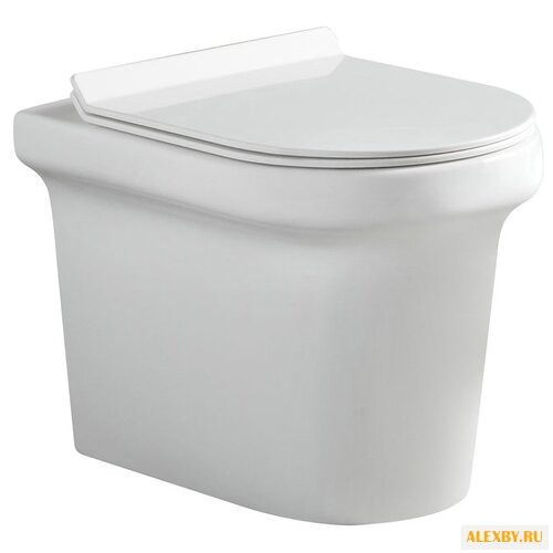 Унитаз Aquanet Nova BL-101N-FST