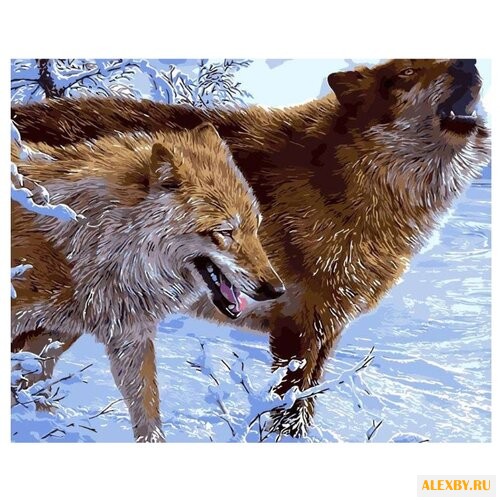 Цветной Картина по номерам