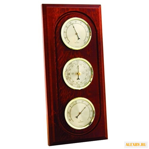 Метеостанция БРИГ+ М-21