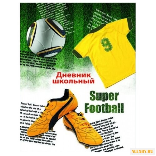 Феникс Дневник школьный