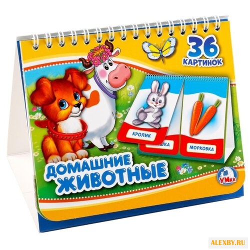 Домашние животные. 36 картинок