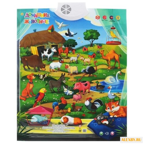 Электронный плакат Рыжий кот